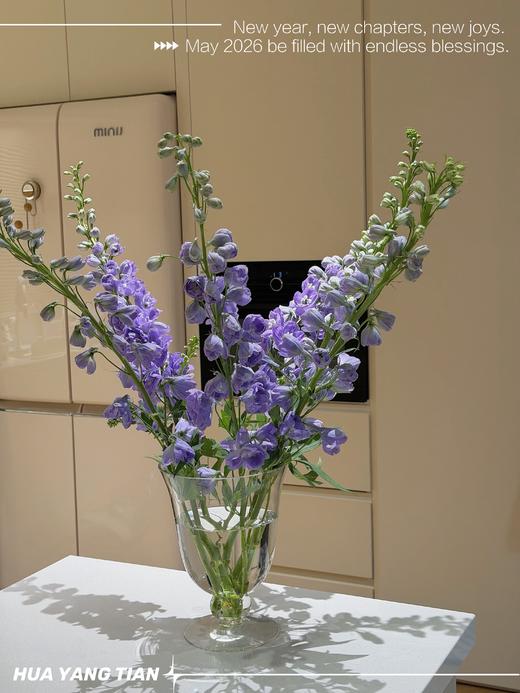 诗和远方 · 瓶插花（带花瓶） 商品图1