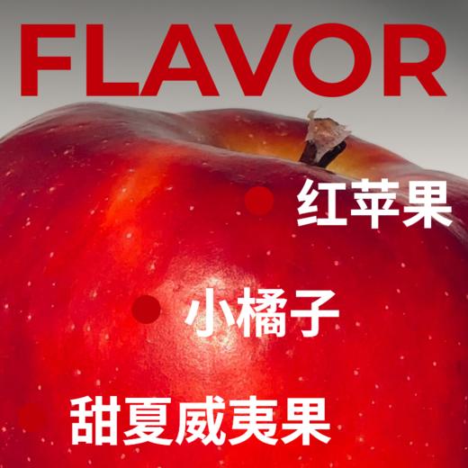 捌比特巴布亚新几内亚小蓝山天堂鸟 浓郁PNG水洗手冲精品咖啡豆250g 商品图4