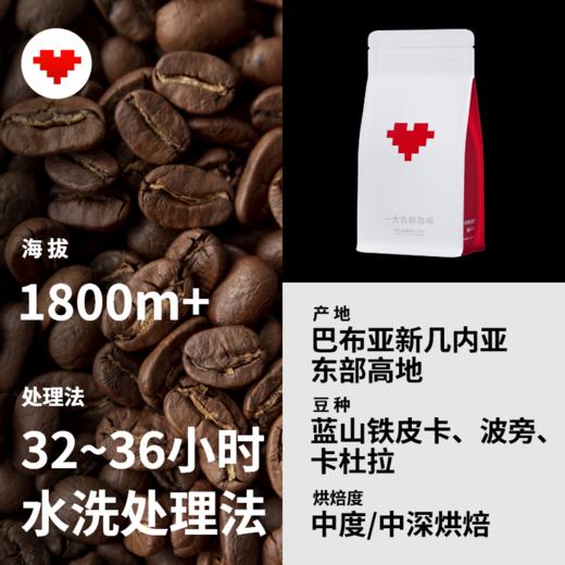 捌比特巴布亚新几内亚小蓝山天堂鸟 浓郁PNG水洗手冲精品咖啡豆250g 商品图3