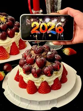 【跨年蛋糕专属】灿烂2026（5英寸）