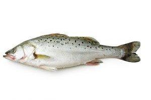 海鲈鱼（1.2斤/袋） 商品图0