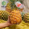CY-菲律宾金菠萝2个装 商品缩略图1