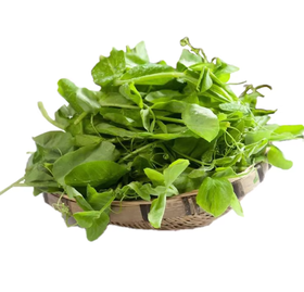 霜打豌豆头350g 单份  ±20g 买放心菜就上瑞和泰