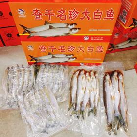 大白鱼一箱