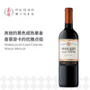 侯爵梅洛, 智利朴莫 Marques de Casa Concha Merlot, Chile Peumo 商品缩略图0