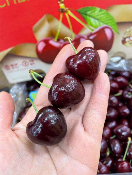 2JD佳沃5斤车厘子一箱 商品图2