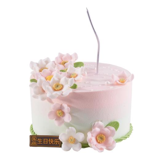 雅韵甜章【动物奶油生日蛋糕】 商品图0