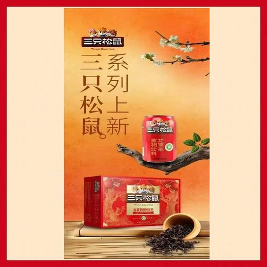 三只松鼠 乌龙茶植物饮料310ml*16罐【FY】 商品图1