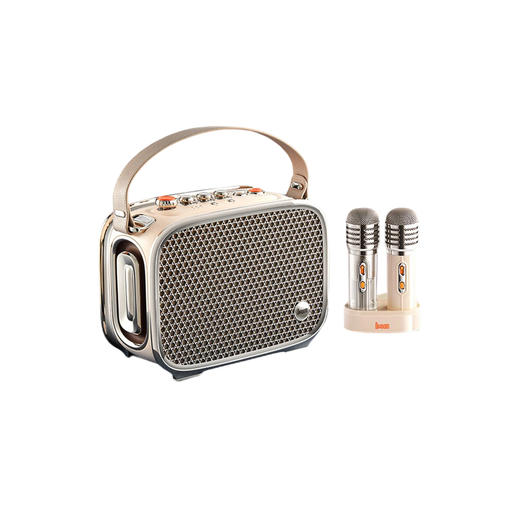 Divoom 东方青鸾 弹唱音箱 吉他音箱蓝牙家用乐器音响户外k歌扩音器 商品图0