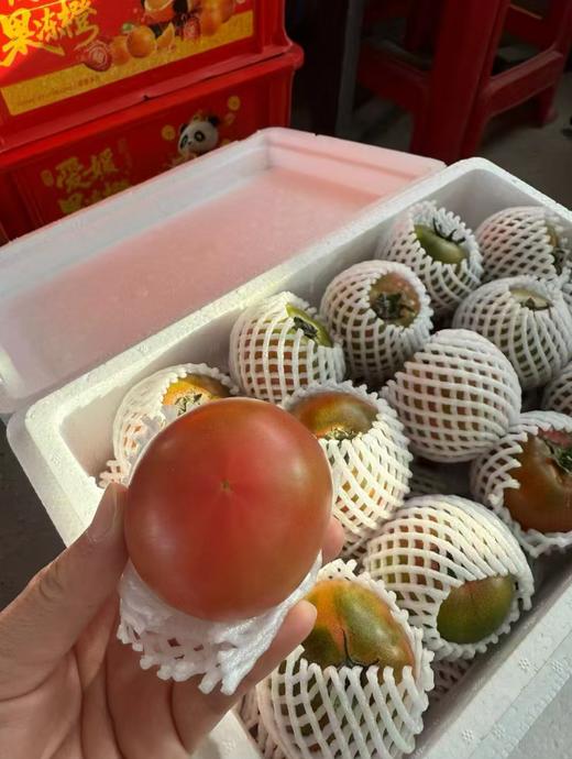 刘飞草莓柿子一箱 商品图2