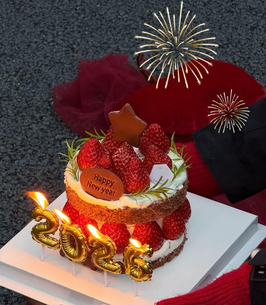 【跨年蛋糕专属】你好2026（5英寸） 商品图0