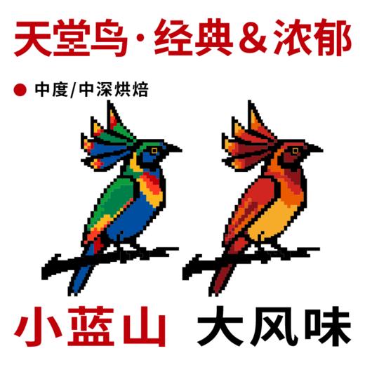 捌比特巴布亚新几内亚小蓝山天堂鸟 浓郁PNG水洗手冲精品咖啡豆250g 商品图1