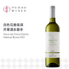 【26年上新】桃乐丝精选星空白葡萄酒Familia Torres Pago del Cielo Celeste Verdejo，Rueda DO 商品缩略图0