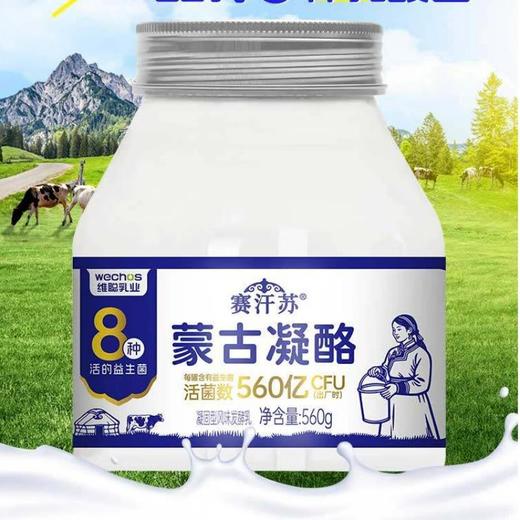 赛汗苏蒙古凝酪560g 商品图0