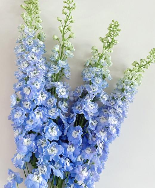 诗和远方 · 瓶插花（带花瓶） 商品图2