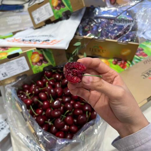 四JJJJ 拉宾斯车厘子巨大果  商品图5