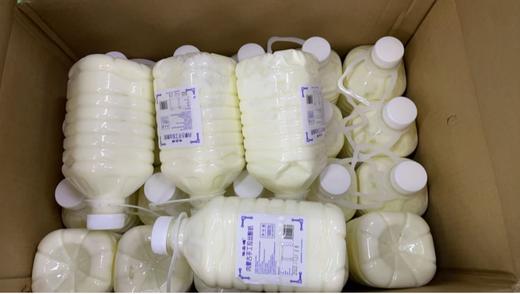 拉丝酸奶一瓶 商品图0