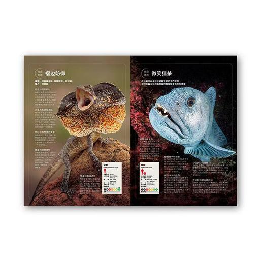 动物志09《记录创造者》 动物世界冠军来领奖 读库 商品图3