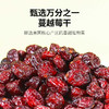 佰斯纳特蔓越莓干238g/150682  果肉饱满 大颗蔓越梅干 商品缩略图3