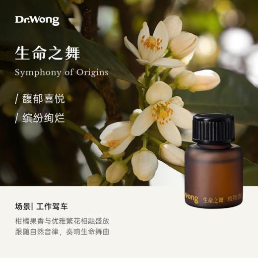 「生命之舞」植物香薰精油12ml 【三叠纪车载冷香仪专用】 商品图0