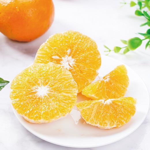 云南高原沃柑（虎柑） 商品图5
