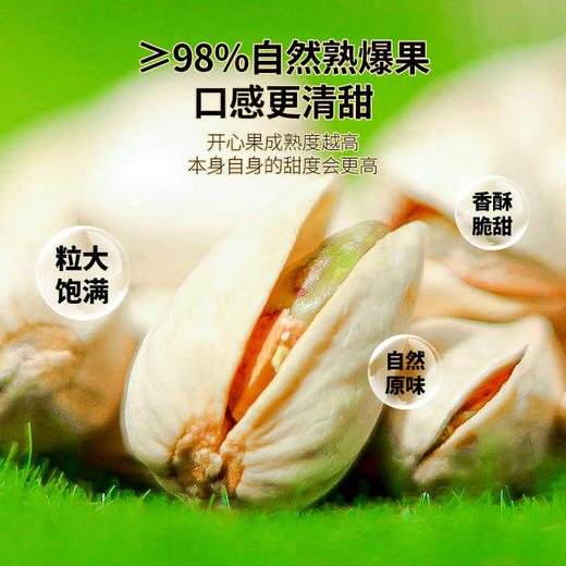 佰斯纳特原色开心果208g/320g大颗粒开口罐装坚果零食小吃新货  150686/150677 商品图1