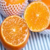 云南高原沃柑（虎柑） 商品缩略图2