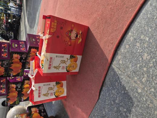 春见耙耙柑 大件 【礼盒】 商品图1