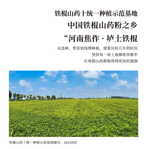 正安 醇怀山粉 古法麸炒7道工艺口感细腻 脾胃早餐代餐冲饮养胃小孩食养便携条装 温县垆土铁棍山药粉300g（15g*20）/盒 商品图3