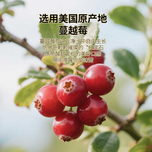 佰斯纳特蔓越莓干238g/150682  果肉饱满 大颗蔓越梅干 商品图2
