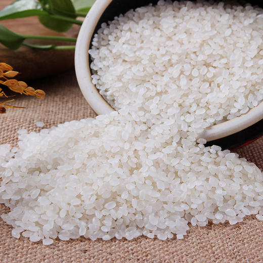 稻宝昌新米正宗东北大米寒地珍珠米10斤【真空包装】 商品图4