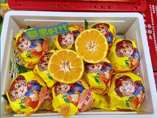 安氏虎头丑橘一箱 商品图1