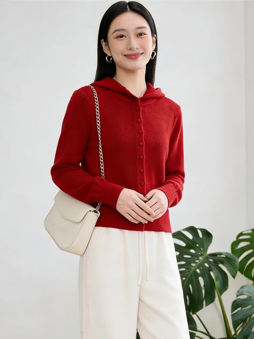  臣禾	【鸿运帽衫】100%绵羊毛 休闲连帽针织外套	JZ254090596 商品图0