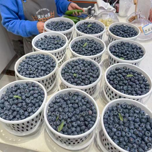 花香蓝莓 15+中果 商品图0