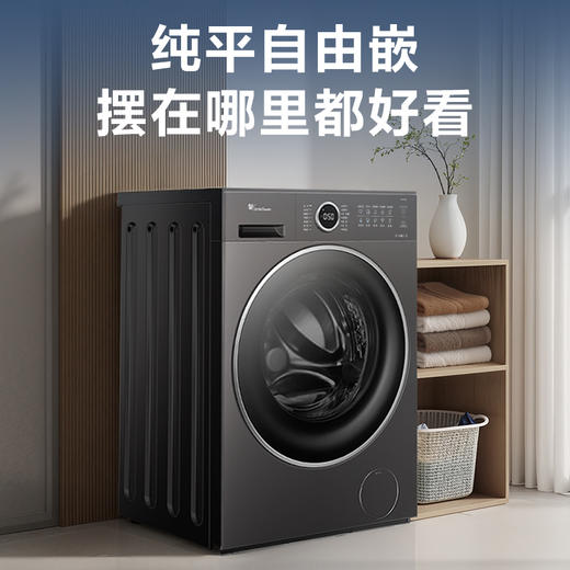 小天鹅（252276）TG10U02 滚筒洗衣机 金属钛 220V,1Ph 50Hz 转速1200 带银离子 商品图1
