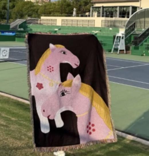 【苏州】喜行乐/灵驹架梦盖毯 商品图0