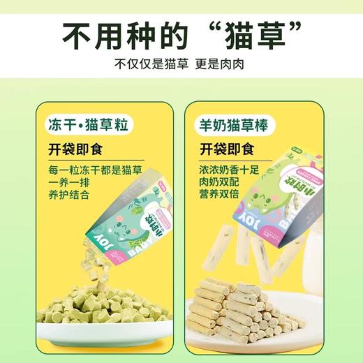 【积分商城】路斯猫草粒猫草棒磨牙零食去毛球20g*3（需随单，单拍不发） 商品图3