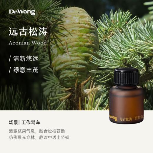 「远古松涛」植物香薰精油12ml 【三叠纪车载冷香仪专用】 商品图0