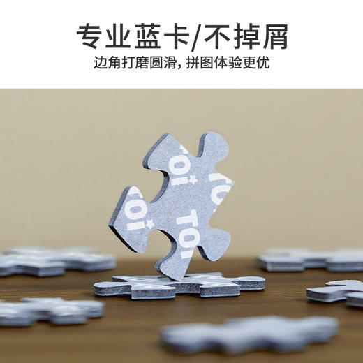 TOi图益-海绵宝宝形象授权系列-比奇堡地图-1000片 商品图3