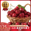 【鲜货】约5斤装2JD 桑提娜车厘子 饱满多汁 香甜爽口  新鲜到货 原箱发货 坏果率≤5% 商品缩略图0