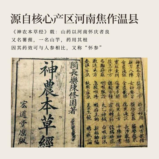 正安 醇怀山粉 古法麸炒7道工艺口感细腻 脾胃早餐代餐冲饮养胃小孩食养便携条装 温县垆土铁棍山药粉300g（15g*20）/盒 商品图2