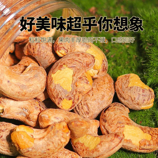 佰斯纳特紫衣腰果(烘炒类)210g 紫衣腰果罐装坚果干果特产零食小吃新货150685 商品图2