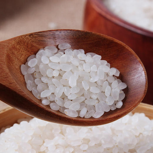 稻宝昌新米正宗东北大米寒地珍珠米10斤【真空包装】 商品图5