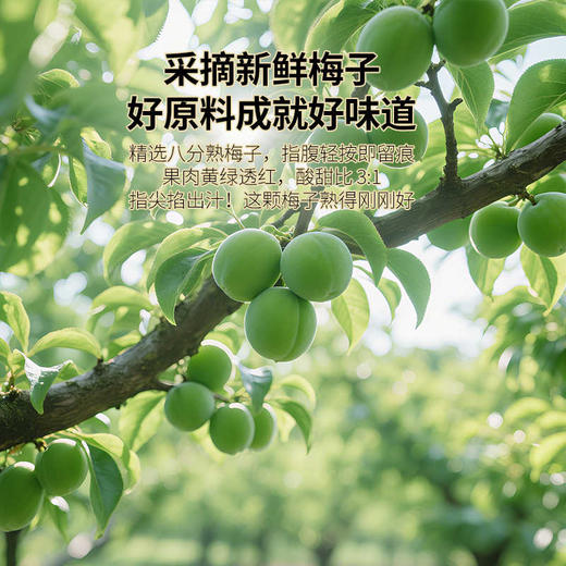 【开胃解腻】佰斯纳特陈皮话梅288g/152581 话梅乌梅干蜜饯果脯茶伴侣小包装怀旧零食 商品图2