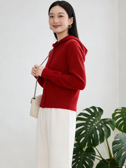  臣禾	【鸿运帽衫】100%绵羊毛 休闲连帽针织外套	JZ254090596 商品图2