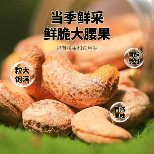 佰斯纳特紫衣腰果(烘炒类)210g 紫衣腰果罐装坚果干果特产零食小吃新货150685 商品图1