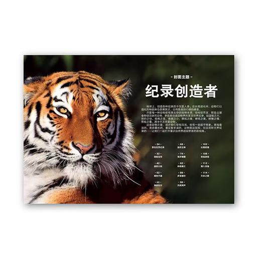 动物志09《记录创造者》 动物世界冠军来领奖 读库 商品图1