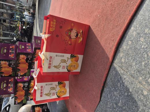 春见耙耙柑 大件 【礼盒】 商品图2
