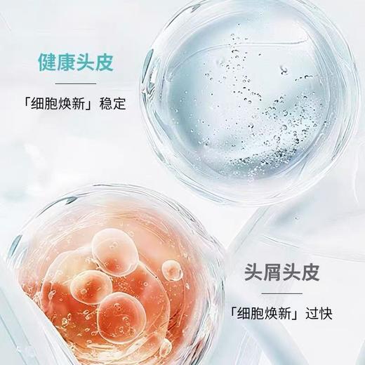 卡诗自在瓶洗发水250ml 商品图2