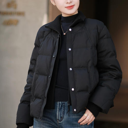 【部分现货】良木礼立领鹅绒服（0310） 商品图1